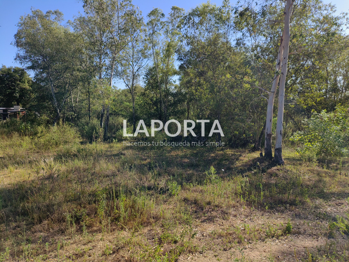 Terreno ID.621/Terreno-en-Arenitas-Blancas,-449-m2-de-superficie - Terreno en Arenitas Blancas, 449 m2 de superficie