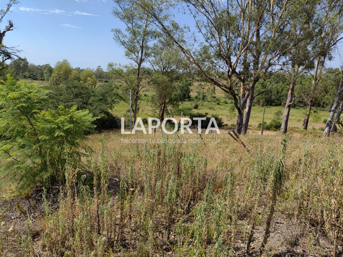 Terreno ID.603/Terreno-de-462-m2--Arenitas-Blancas - Terreno de 462 m2 - Arenitas Blancas