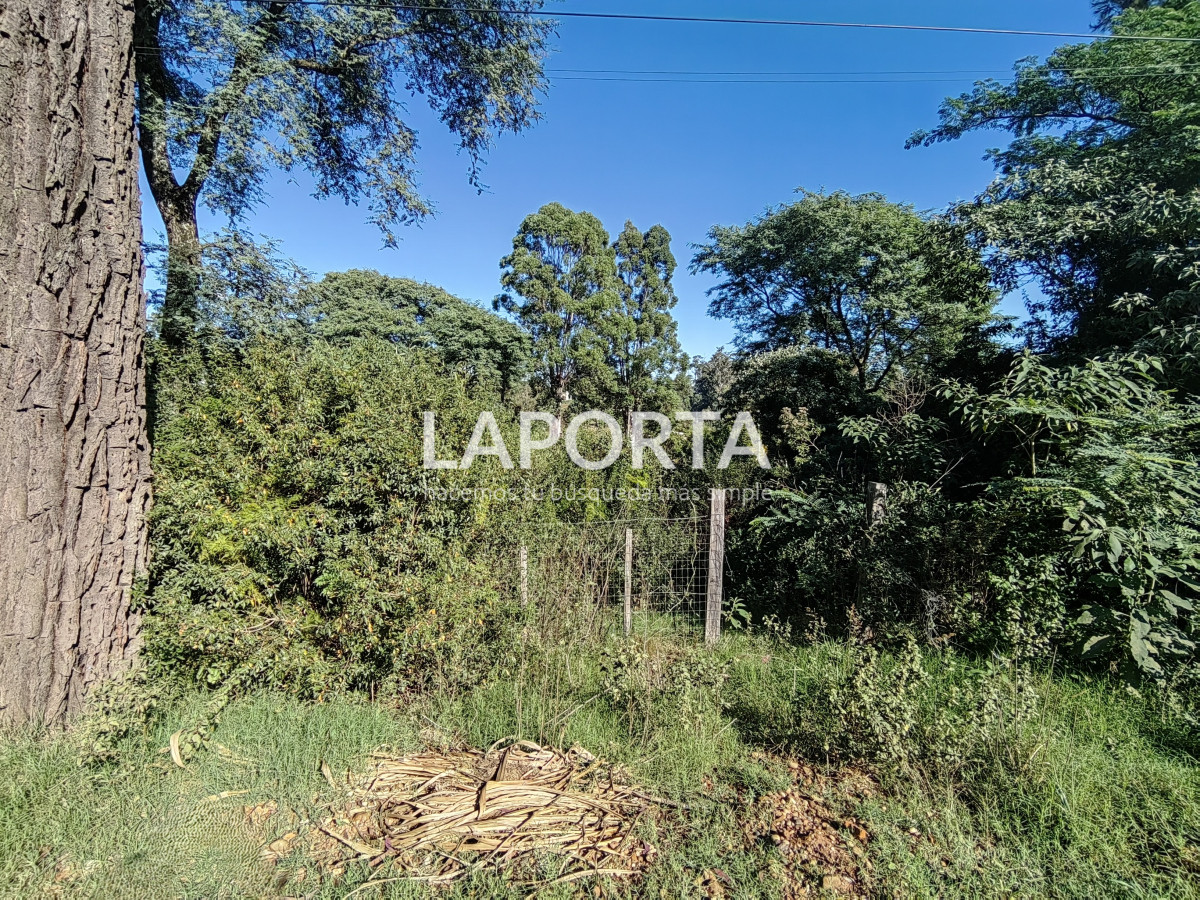 Terreno ID.887/Terreno-en-venta-en-Arenitas-Blancas,-Salto - Terreno en venta en Arenitas Blancas, Salto