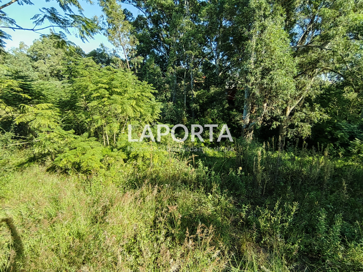 Terreno ID.853/Terreno-en-venta-en-Arenitas-Blancas,-Salto - Terreno en venta en Arenitas Blancas, Salto
