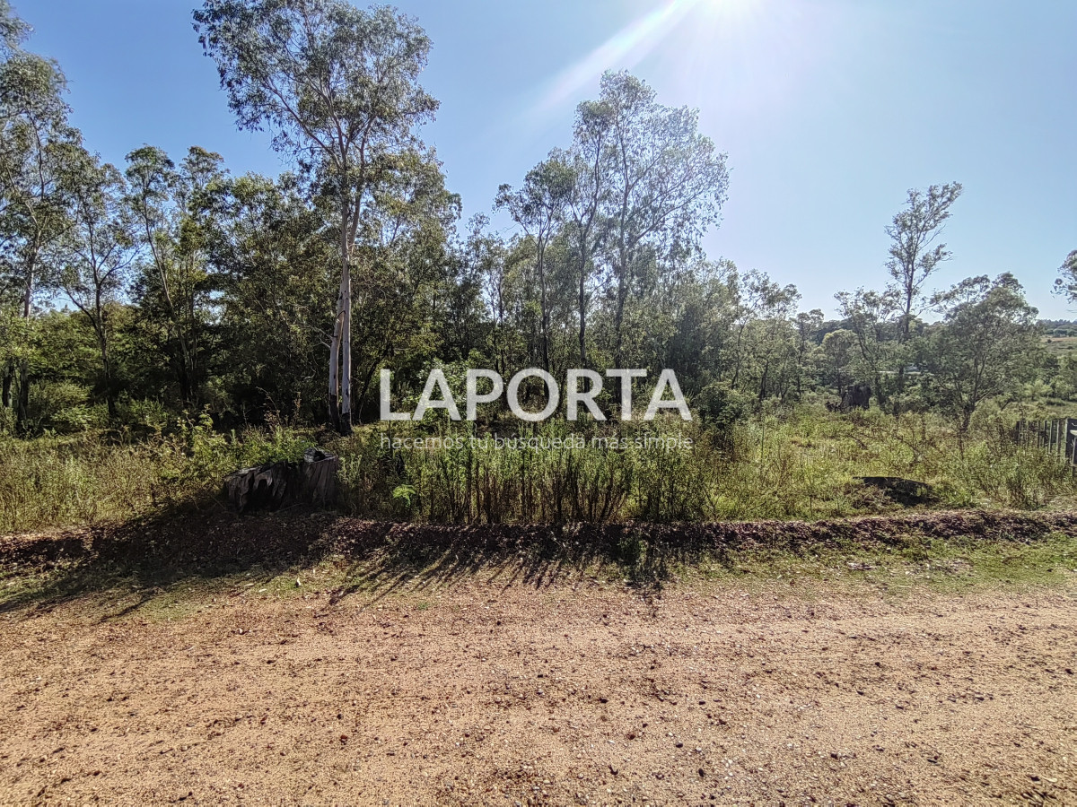 Terreno ID.621/Terreno-en-Arenitas-Blancas,-449-m2-de-superficie - Terreno en Arenitas Blancas, 449 m2 de superficie