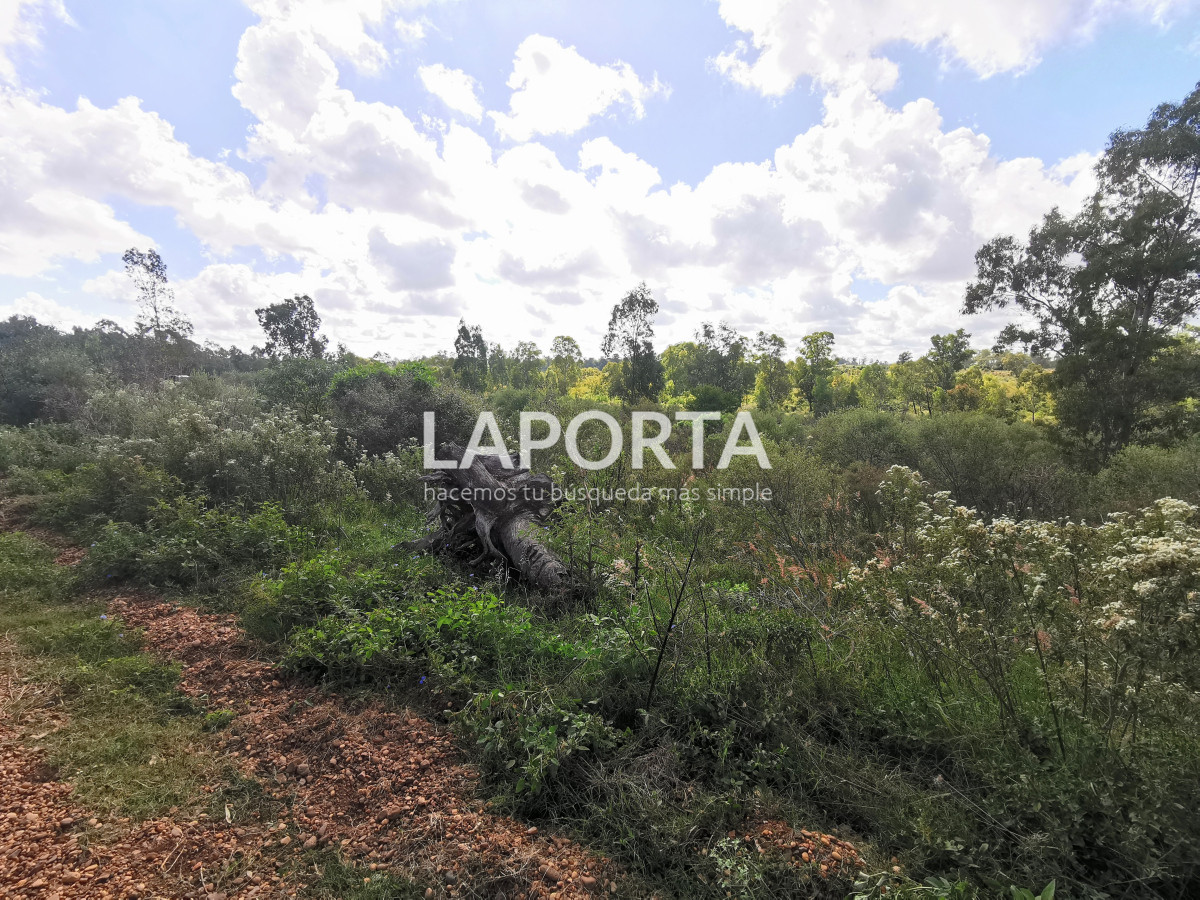 Terreno ID.862/Terrenos-en-Arenitas-Blancas - Terrenos en Arenitas Blancas