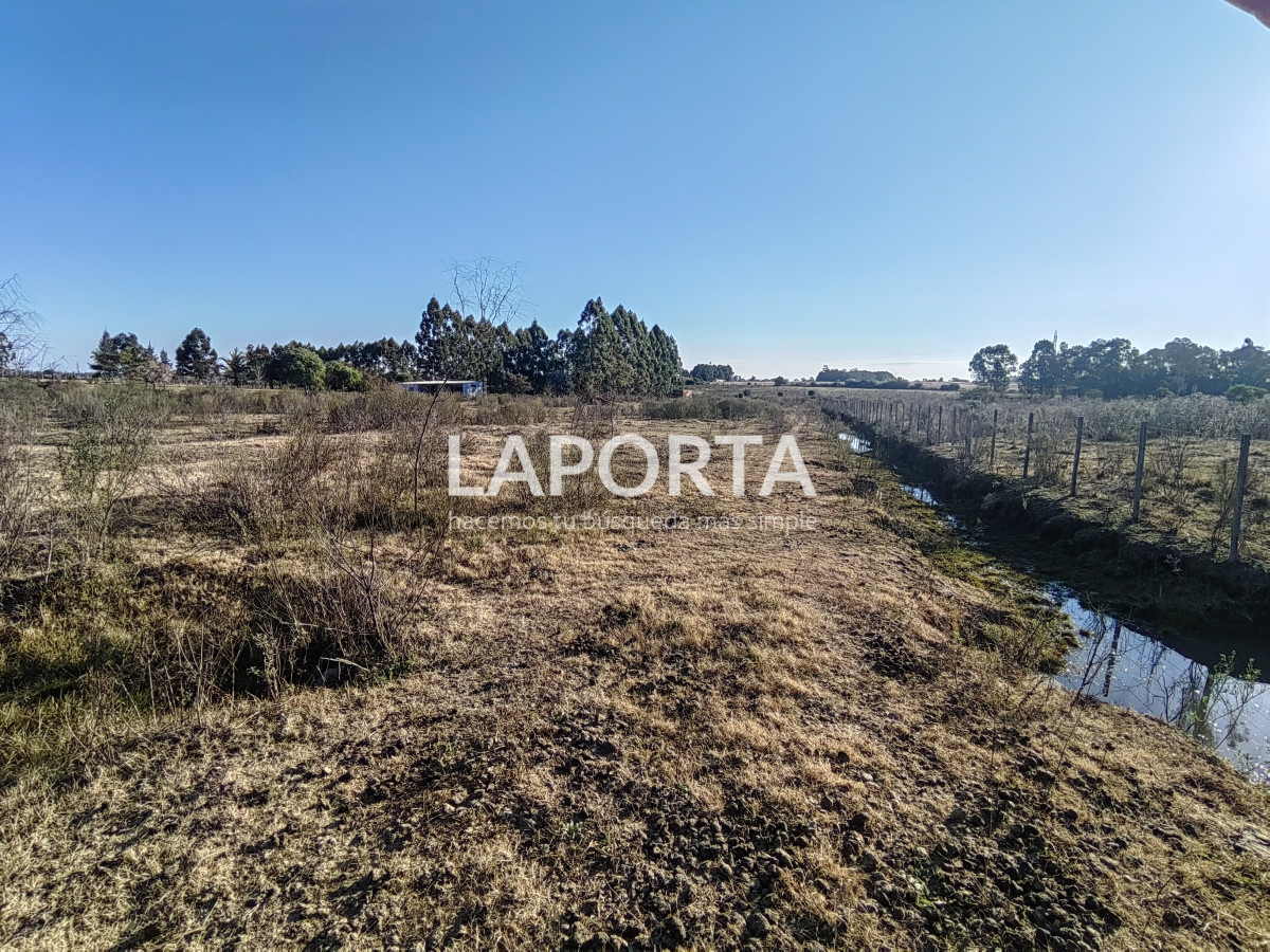 Terreno ID.1029/Terreno-en-venta-de-1-hectárea-en-Salto - Terreno en venta de 1 hectárea en Salto