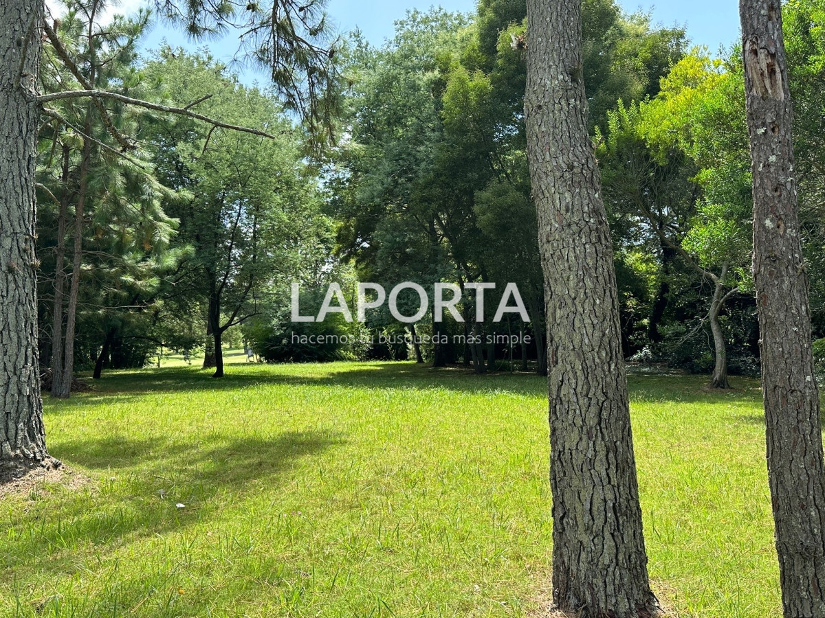 Terreno ID.57 - Terreno en Punta del Este, San Rafael