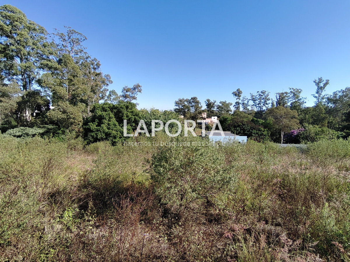 Terreno ID.892/Terreno-en-venta-en-Arenitas-Blancas,-Salto - Terreno en venta en Arenitas Blancas, Salto