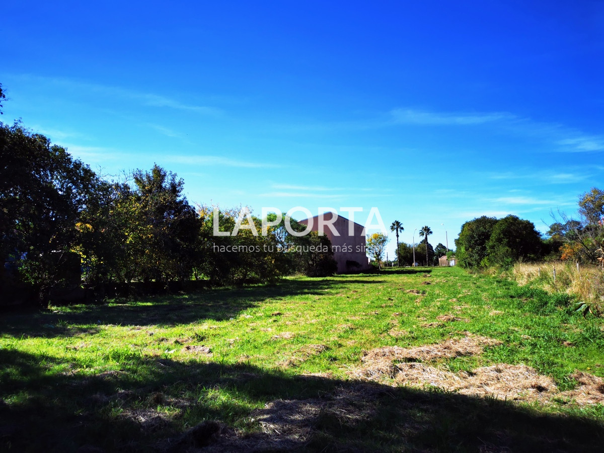 Terreno ID.260 - Terreno en Termas del Daymán sobre Ruta Nº 3