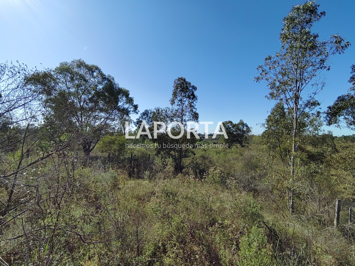 Terreno ID.884/Terreno-en-venta-en-Arenitas-Blancas,-Salto - Terreno en venta en Arenitas Blancas, Salto