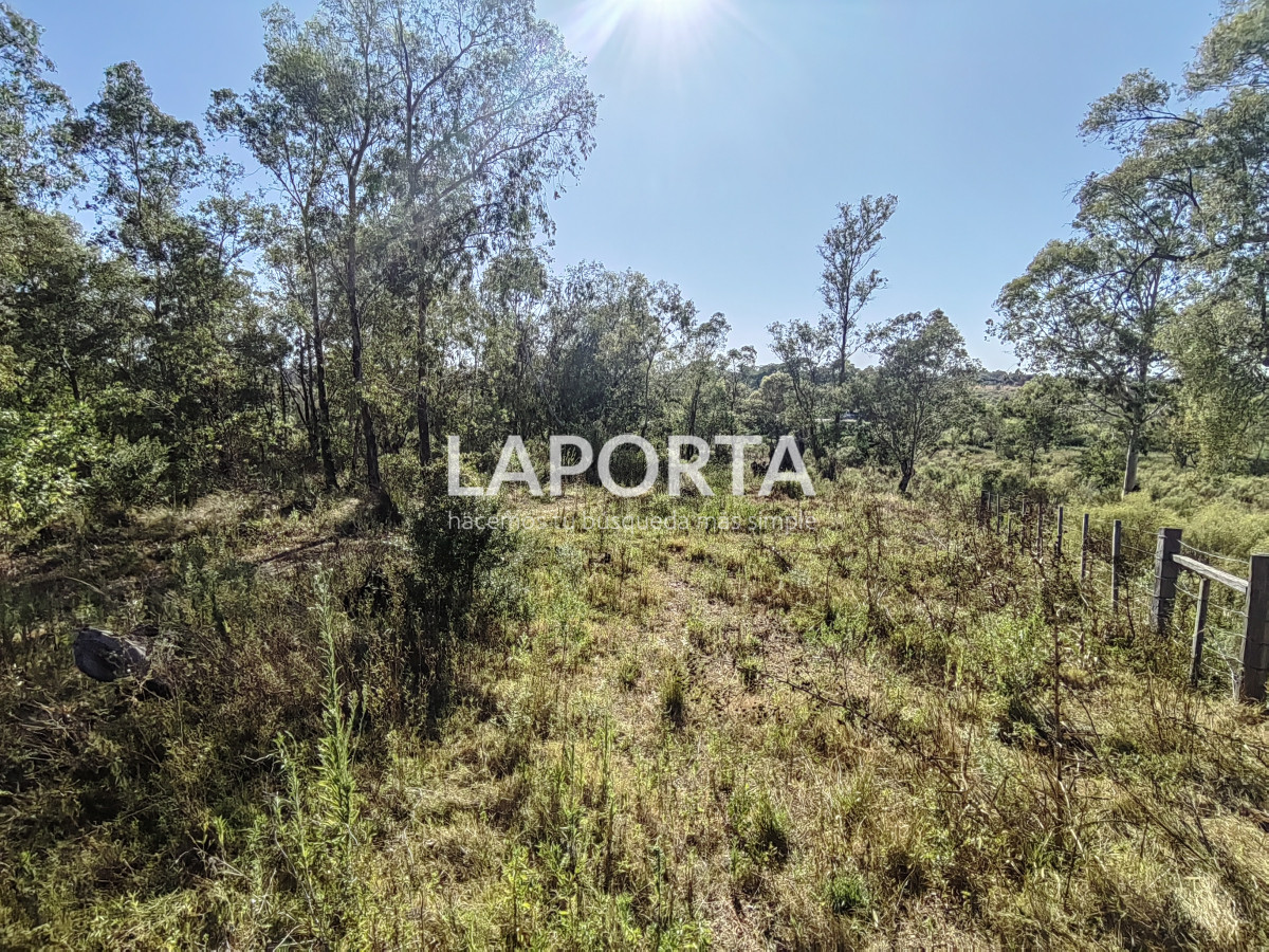 Terreno ID.621/Terreno-en-Arenitas-Blancas,-449-m2-de-superficie - Terreno en Arenitas Blancas, 449 m2 de superficie