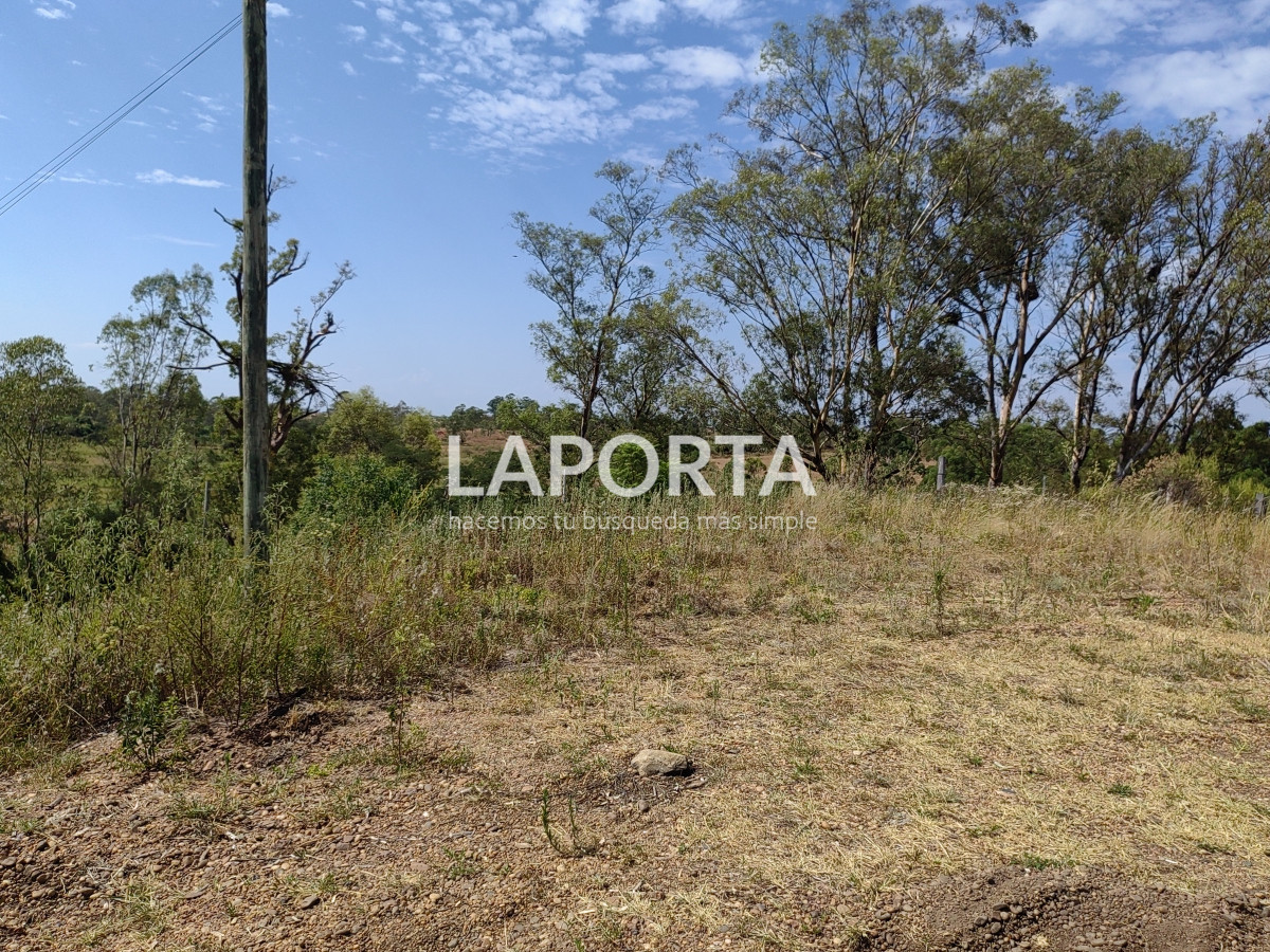 Terreno ID.603/Terreno-de-462-m2--Arenitas-Blancas - Terreno de 462 m2 - Arenitas Blancas
