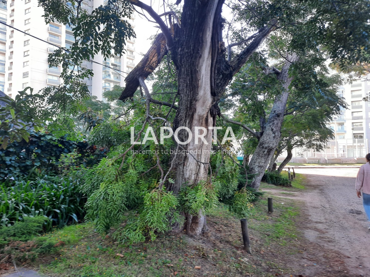 Terreno ID.53 - Terreno en Punta del Este, Mansa