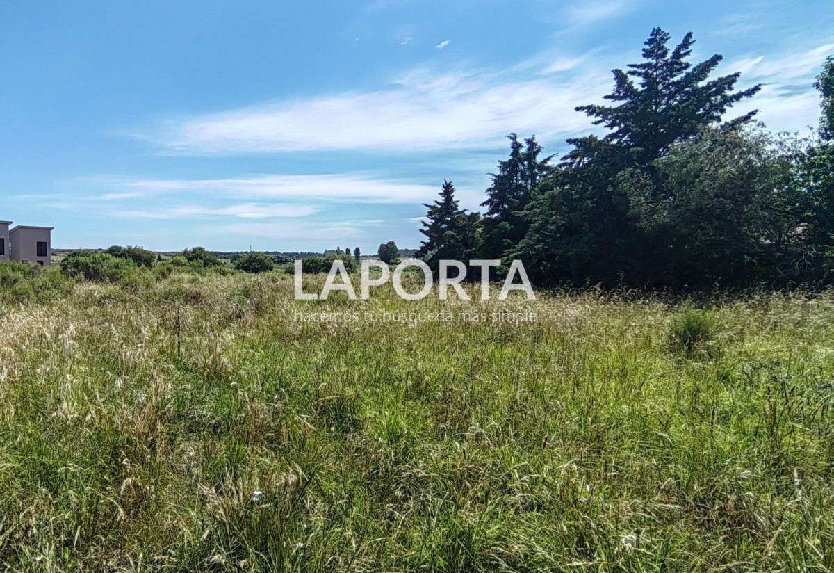 Terreno ID.1410/Terreno-en-Termas-del-Daymán,-Salto. - Terreno en Termas del Daymán, Salto.