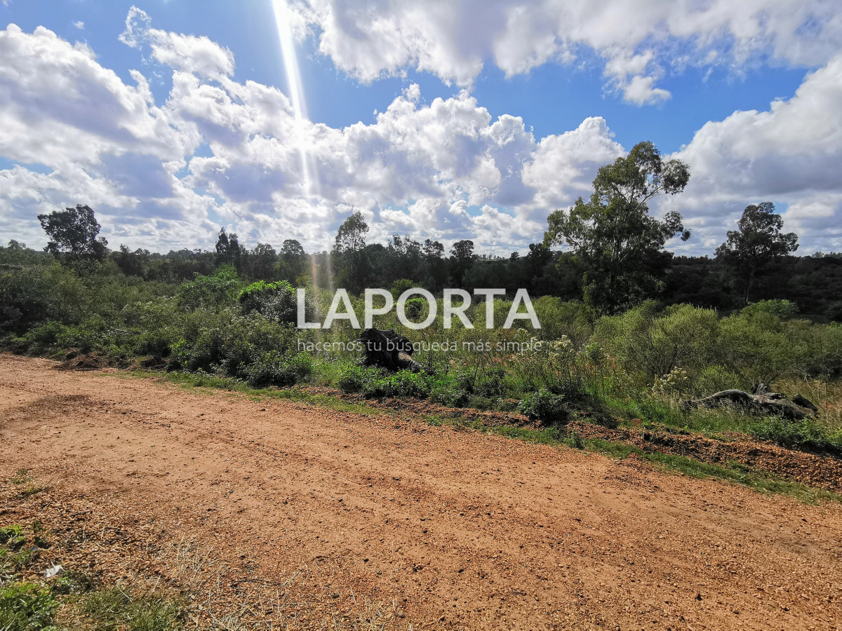 Terreno ID.862/Terrenos-en-Arenitas-Blancas - Terrenos en Arenitas Blancas