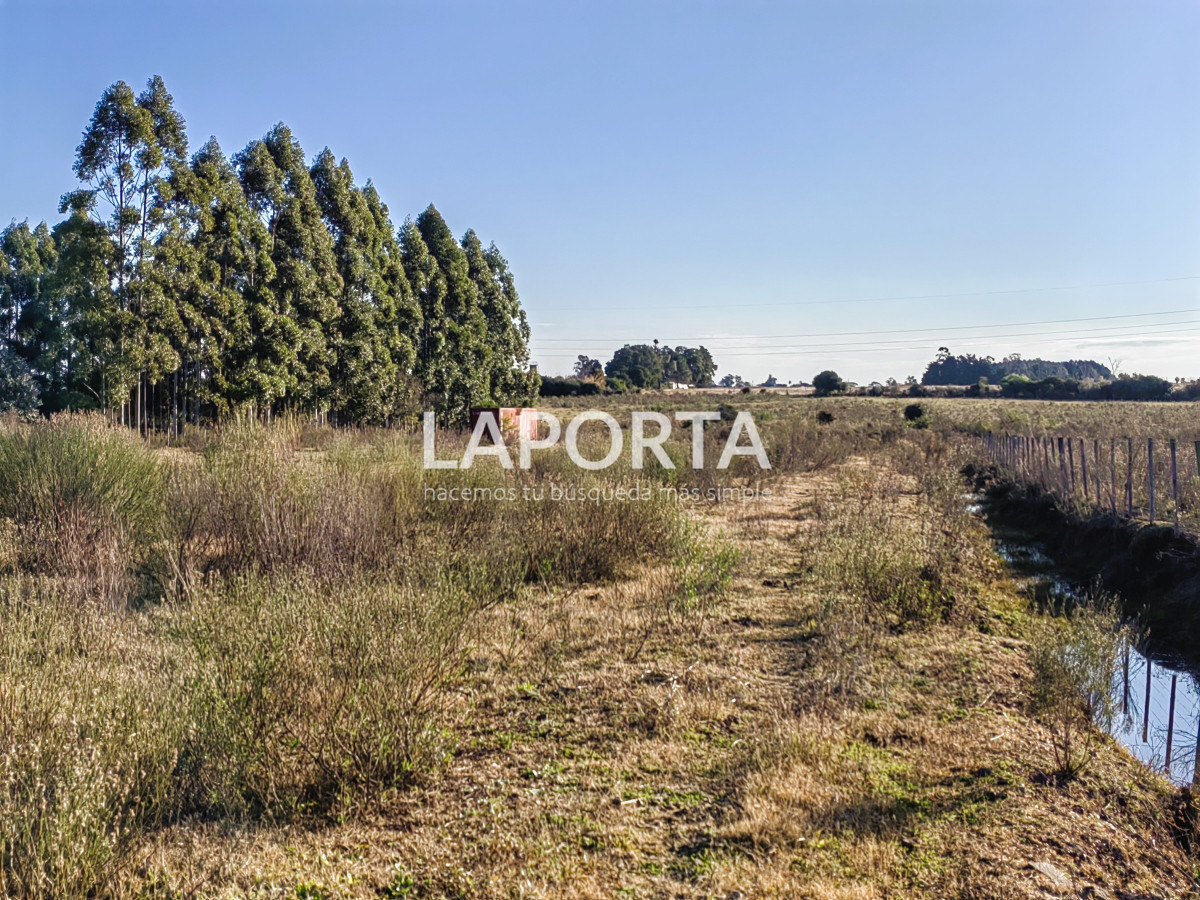 Terreno ID.1029/Terreno-en-venta-de-1-hectárea-en-Salto - Terreno en venta de 1 hectárea en Salto