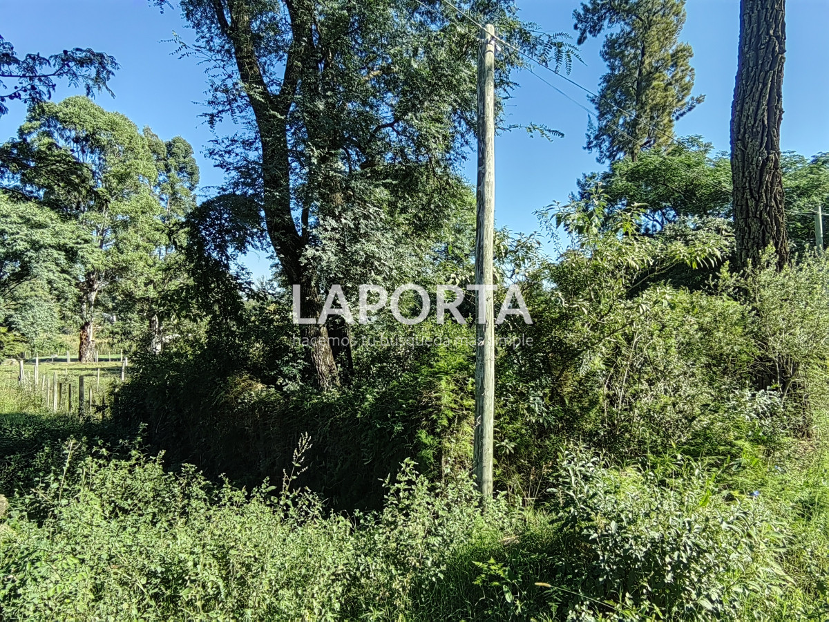 Terreno ID.887/Terreno-en-venta-en-Arenitas-Blancas,-Salto - Terreno en venta en Arenitas Blancas, Salto