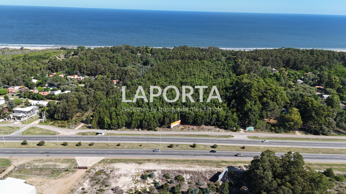 Terreno ID.684/Terreno-Para-Fraccionamiento-en-Venta-Frente-al-Mar - Terreno Para Fraccionamiento en Venta Frente al Mar