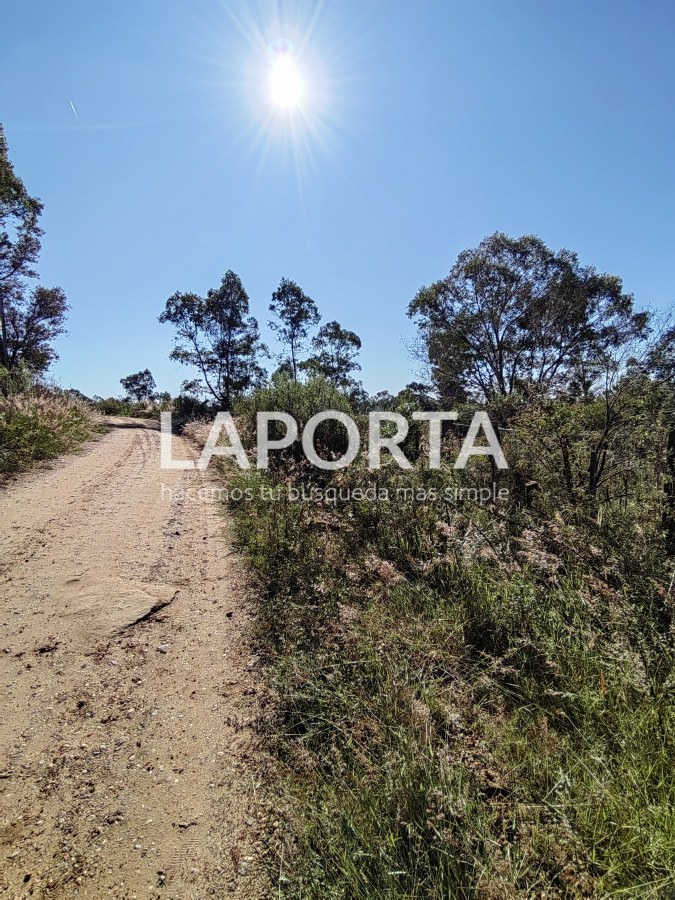 Terreno ID.884/Terreno-en-venta-en-Arenitas-Blancas,-Salto - Terreno en venta en Arenitas Blancas, Salto