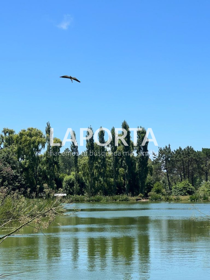 Terreno ID.877/Lotes-en-venta-en-AURA,-Punta-del-Este - Lotes en venta en AURA, Punta del Este