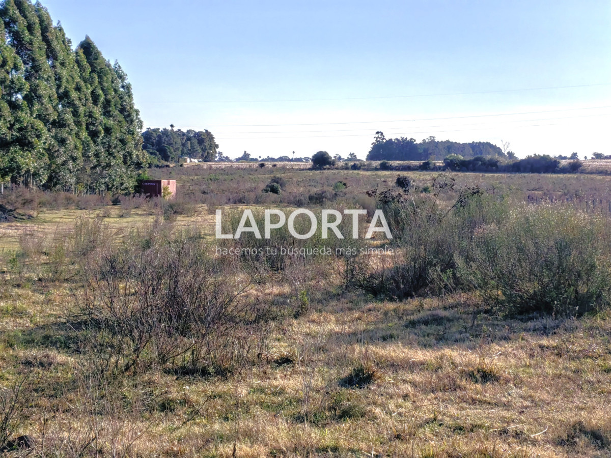 Terreno ID.1029/Terreno-en-venta-de-1-hectárea-en-Salto - Terreno en venta de 1 hectárea en Salto