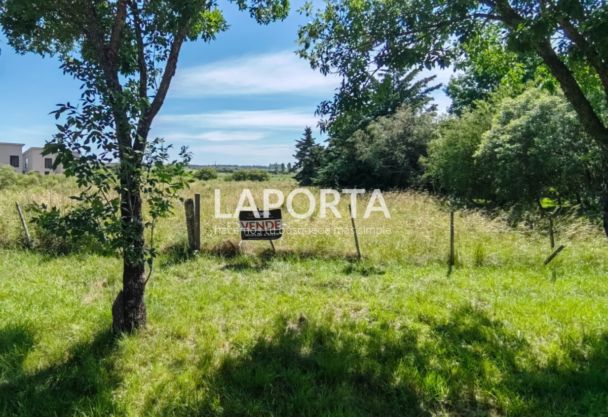 Terreno ID.1410/Terreno-en-Termas-del-Daymán,-Salto. - Terreno en Termas del Daymán, Salto.