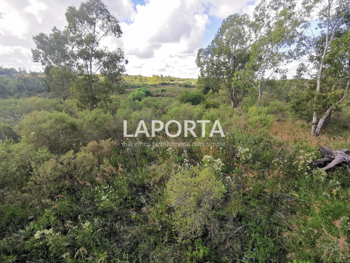 Terreno ID.862/Terrenos-en-Arenitas-Blancas - Terrenos en Arenitas Blancas