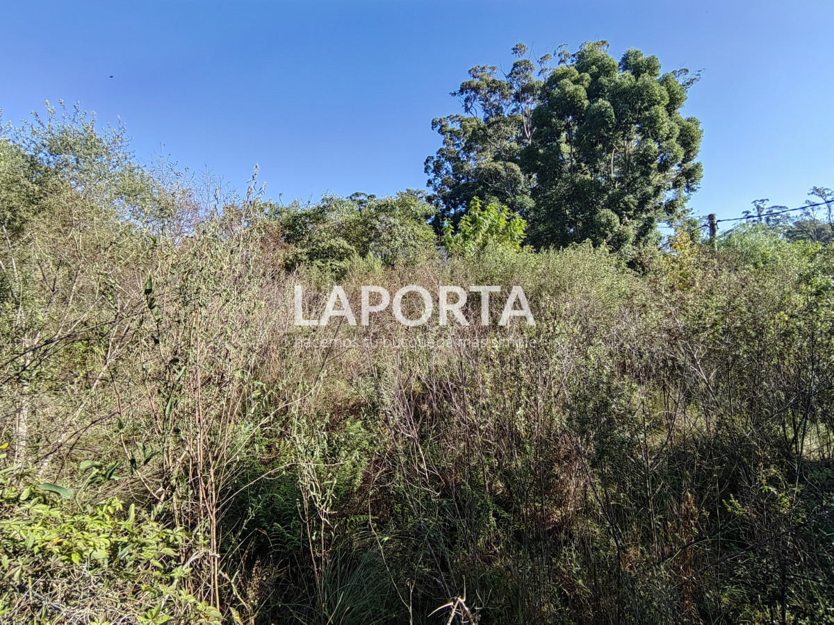 Terreno ID.883/Terreno-en-venta-en-Arenitas-Blancas - Terreno en venta en Arenitas Blancas