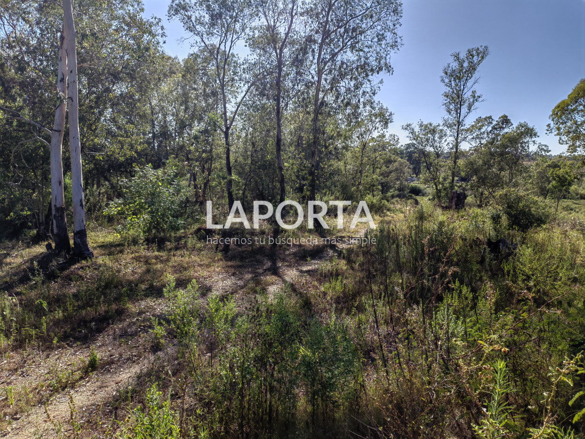 Terreno ID.621/Terreno-en-Arenitas-Blancas,-449-m2-de-superficie - Terreno en Arenitas Blancas, 449 m2 de superficie