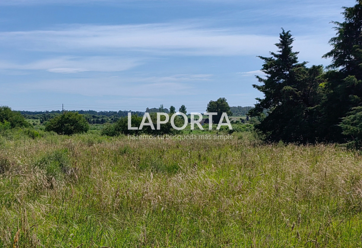 Terreno ID.1410/Terreno-en-Termas-del-Daymán,-Salto. - Terreno en Termas del Daymán, Salto.