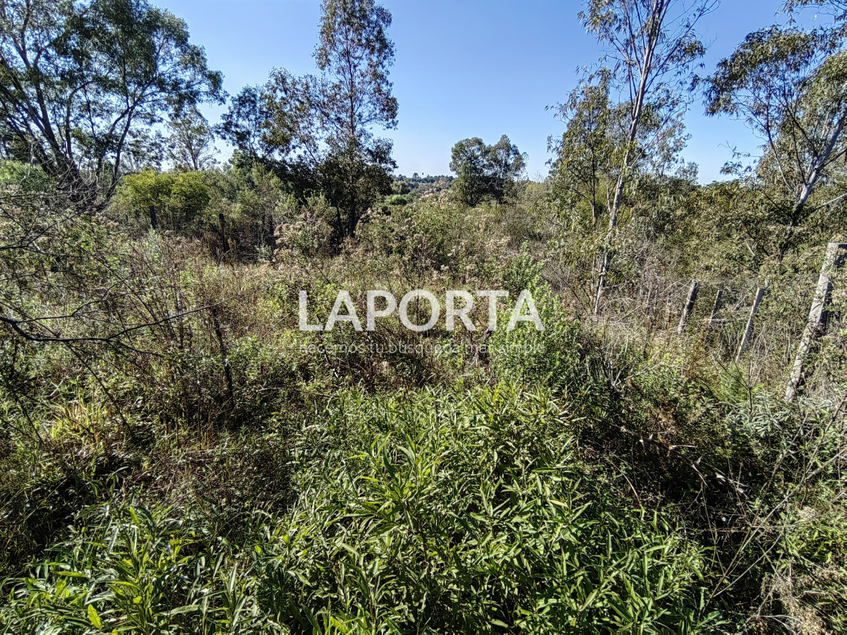 Terreno ID.884/Terreno-en-venta-en-Arenitas-Blancas,-Salto - Terreno en venta en Arenitas Blancas, Salto