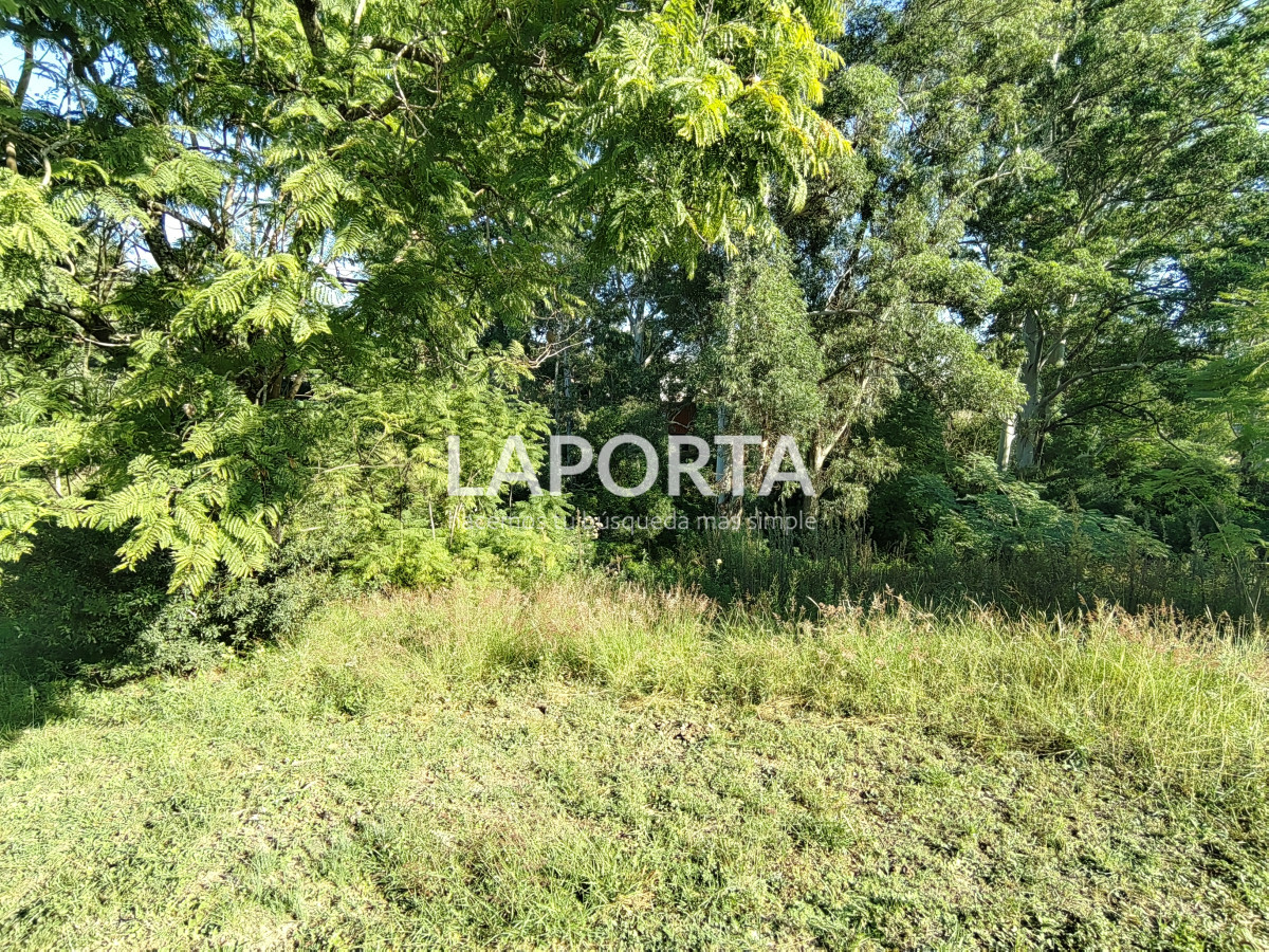 Terreno ID.853/Terreno-en-venta-en-Arenitas-Blancas,-Salto - Terreno en venta en Arenitas Blancas, Salto