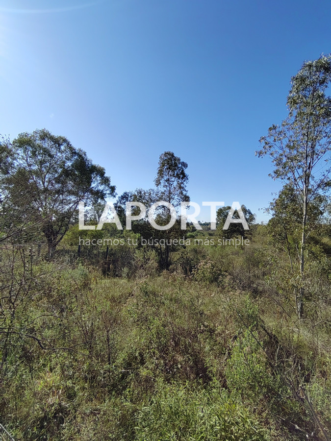 Terreno ID.884/Terreno-en-venta-en-Arenitas-Blancas,-Salto - Terreno en venta en Arenitas Blancas, Salto