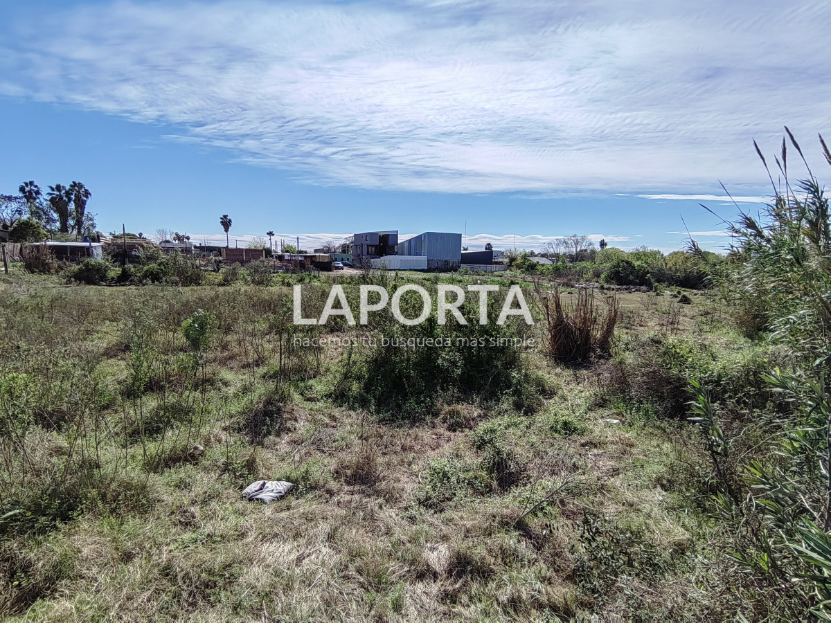 Terreno ID.1206 - Terreno en venta en Salto