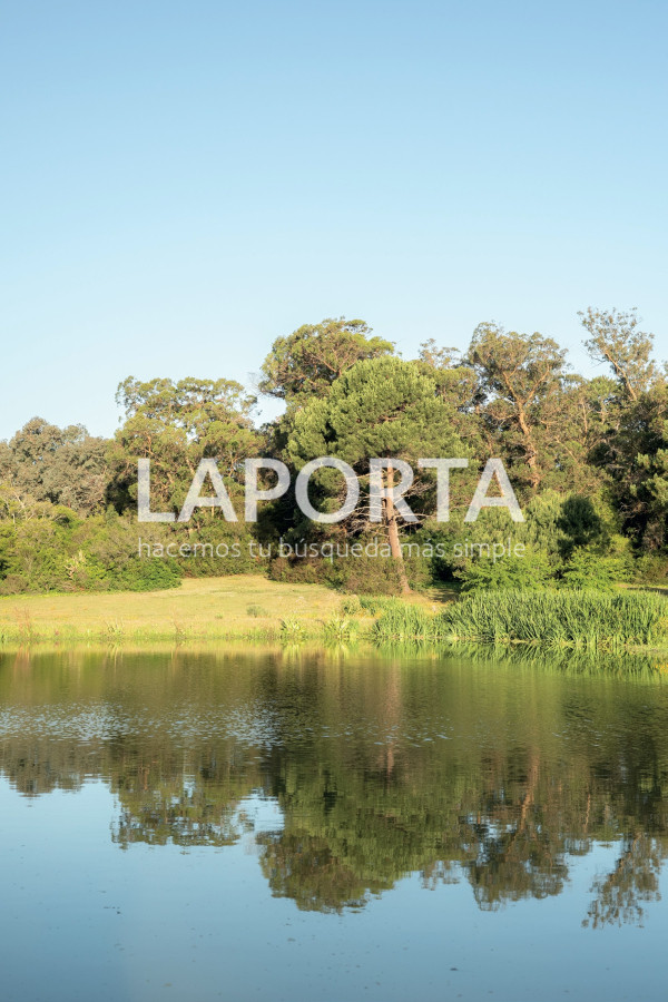 Terreno ID.877/Lotes-en-venta-en-AURA,-Punta-del-Este - Lotes en venta en AURA, Punta del Este