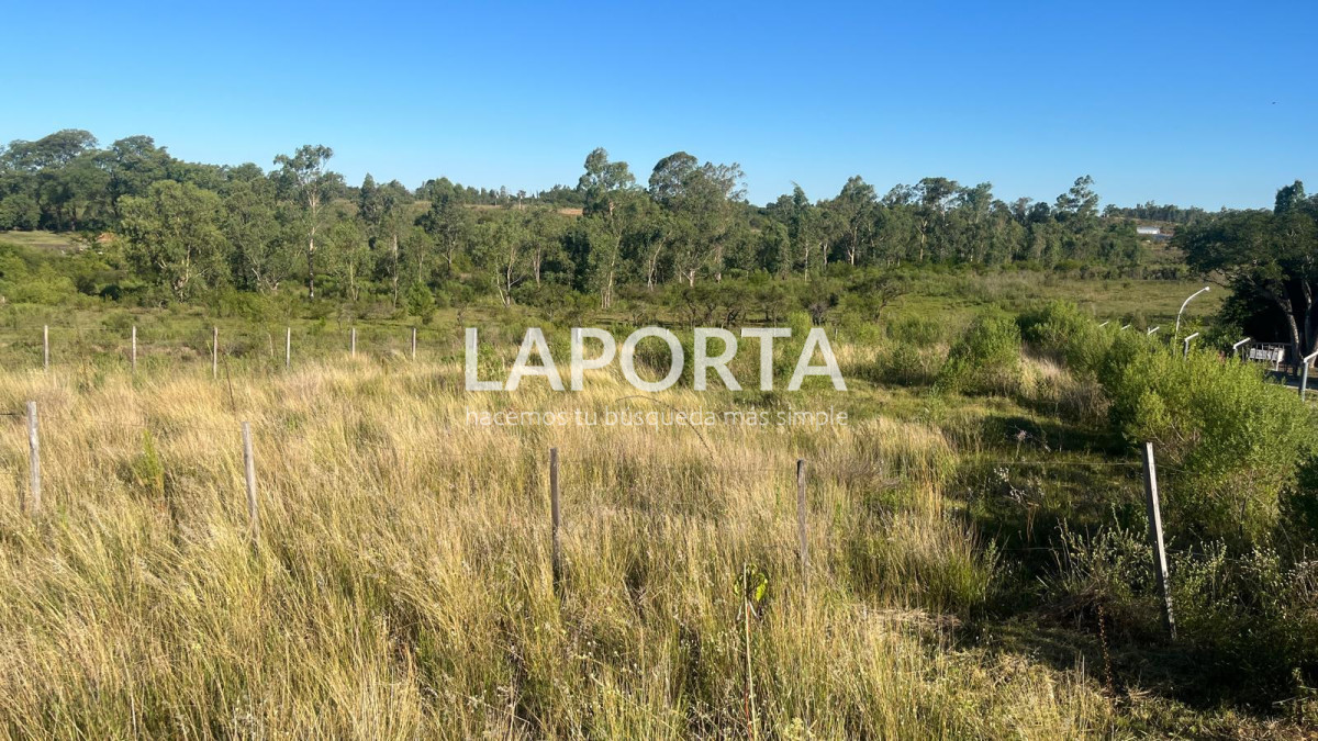 Terreno ID.648/Terreno-en-Arenitas-Blancas--Ubicación-privilegiada-y-entorno-natural - Terreno en Arenitas Blancas - Ubicación privilegiada y entorno natural