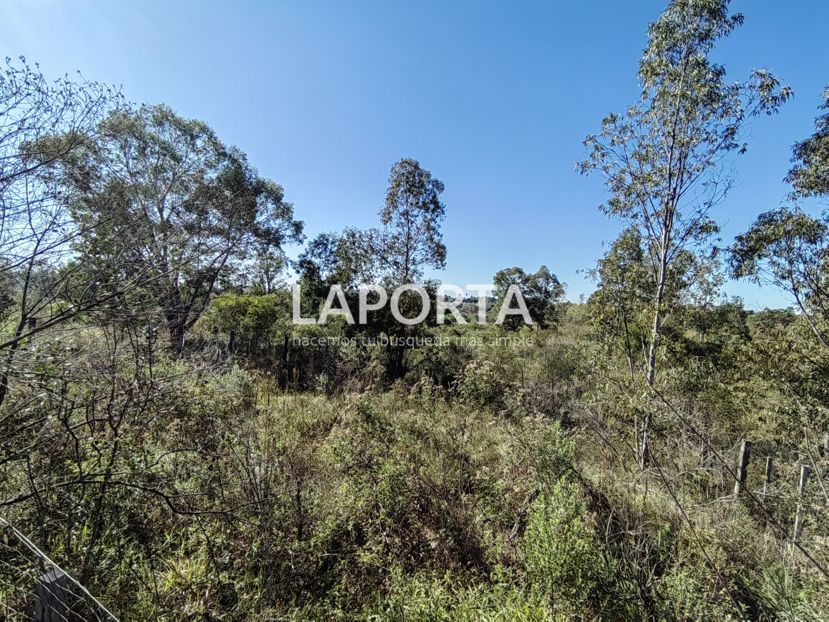 Terreno ID.884/Terreno-en-venta-en-Arenitas-Blancas,-Salto - Terreno en venta en Arenitas Blancas, Salto