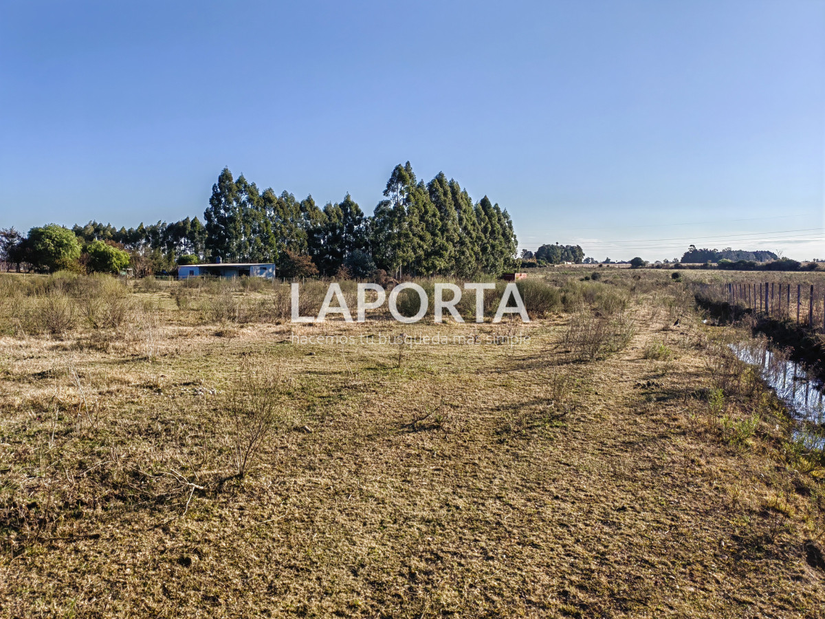 Terreno ID.1029/Terreno-en-venta-de-1-hectárea-en-Salto - Terreno en venta de 1 hectárea en Salto