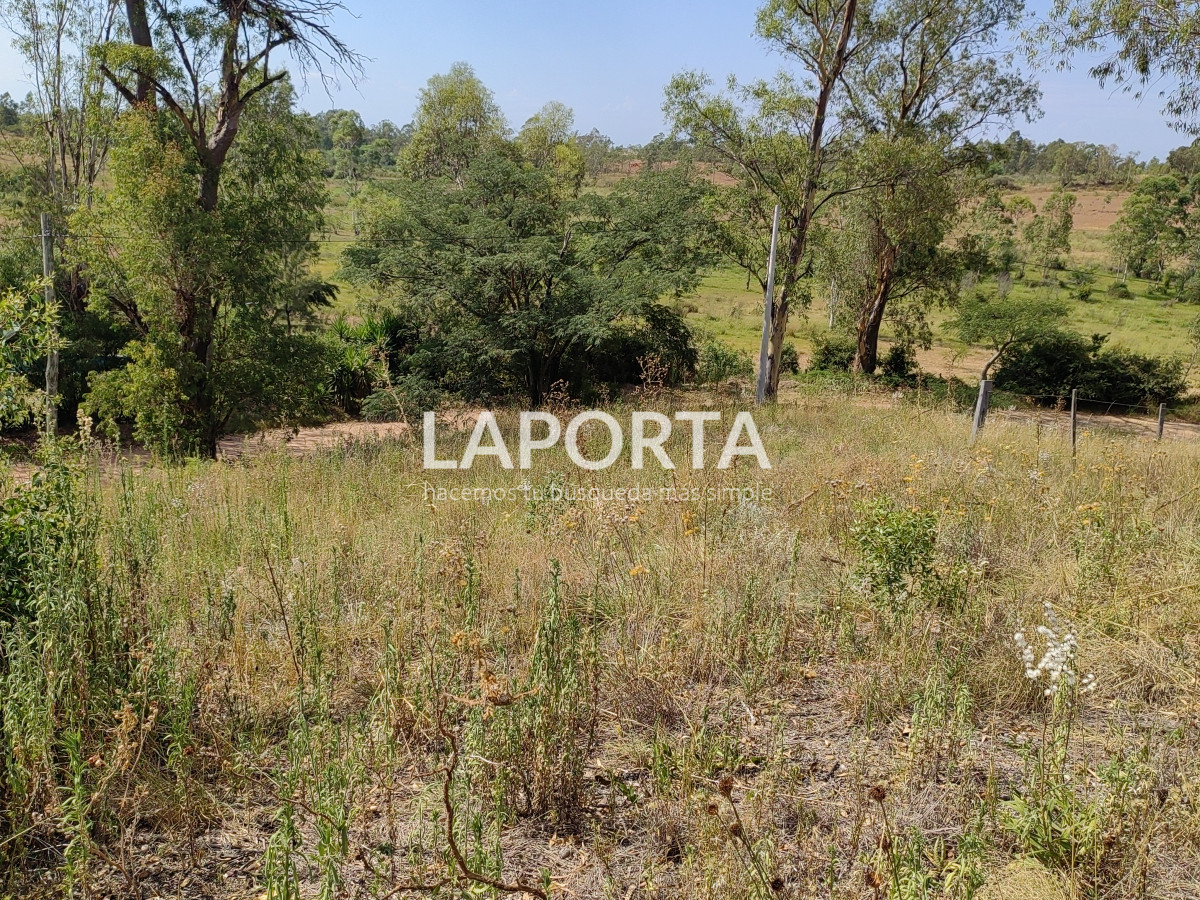 Terreno ID.603/Terreno-de-462-m2--Arenitas-Blancas - Terreno de 462 m2 - Arenitas Blancas