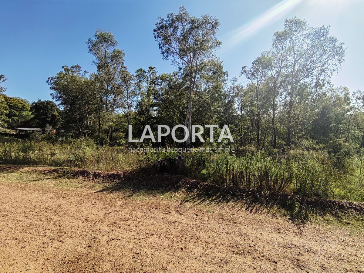 Terreno ID.621/Terreno-en-Arenitas-Blancas,-449-m2-de-superficie - Terreno en Arenitas Blancas, 449 m2 de superficie