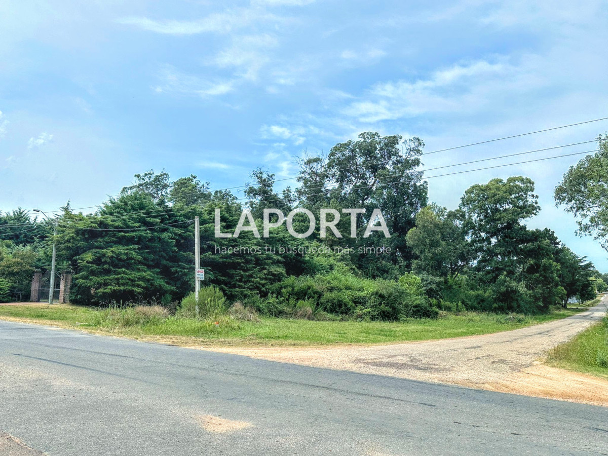 Terreno ID.620/¡Atención-inversores-y-constructores-de-sueños! - ¡Atención inversores y constructores de sueños!