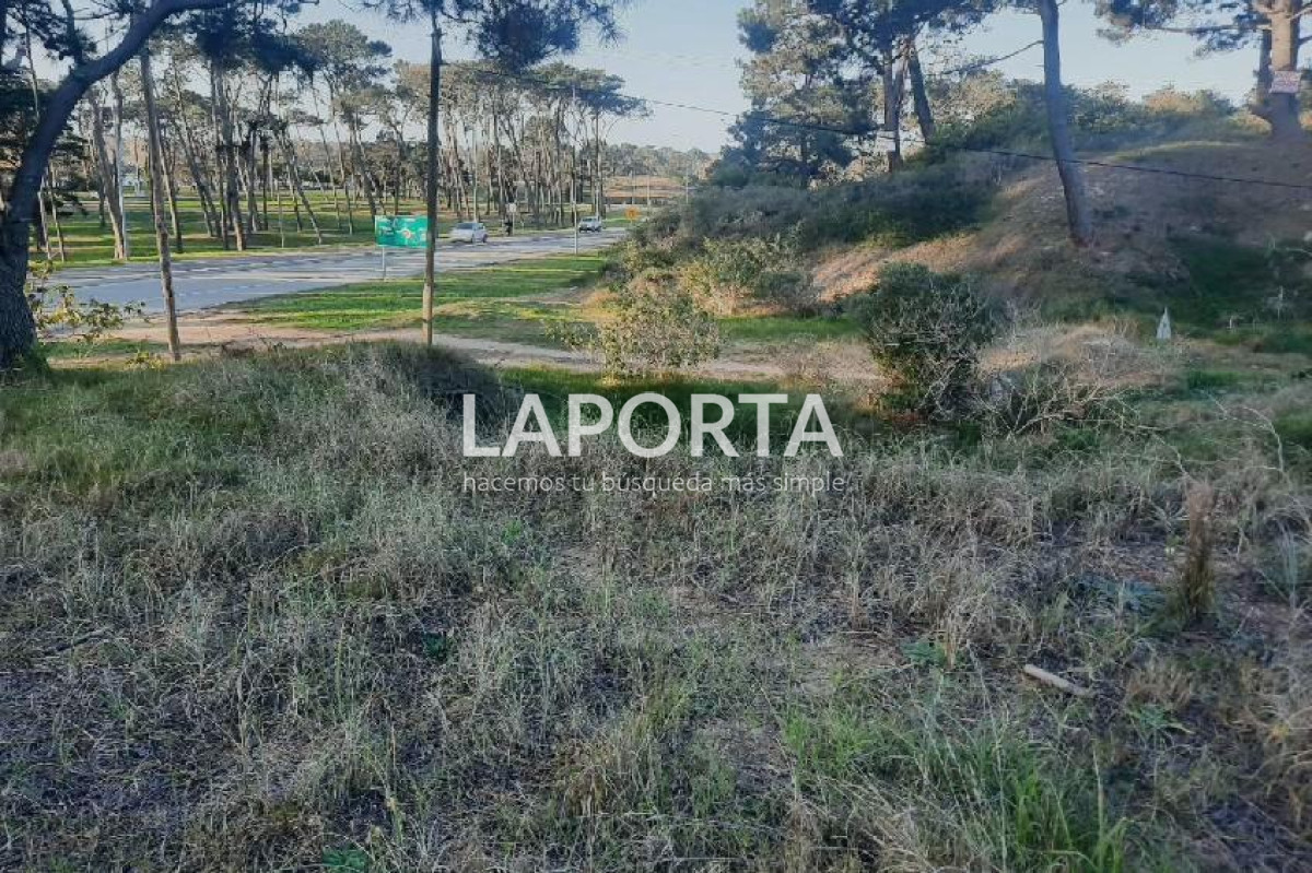 Terreno ID.54 - Terreno en Punta del Este, El Placer