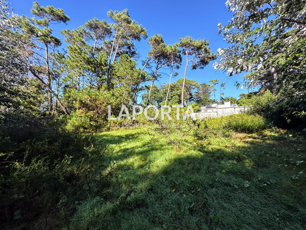 Terreno ID.58 - Terreno en Venta en Punta del Este Barrio San Rafael