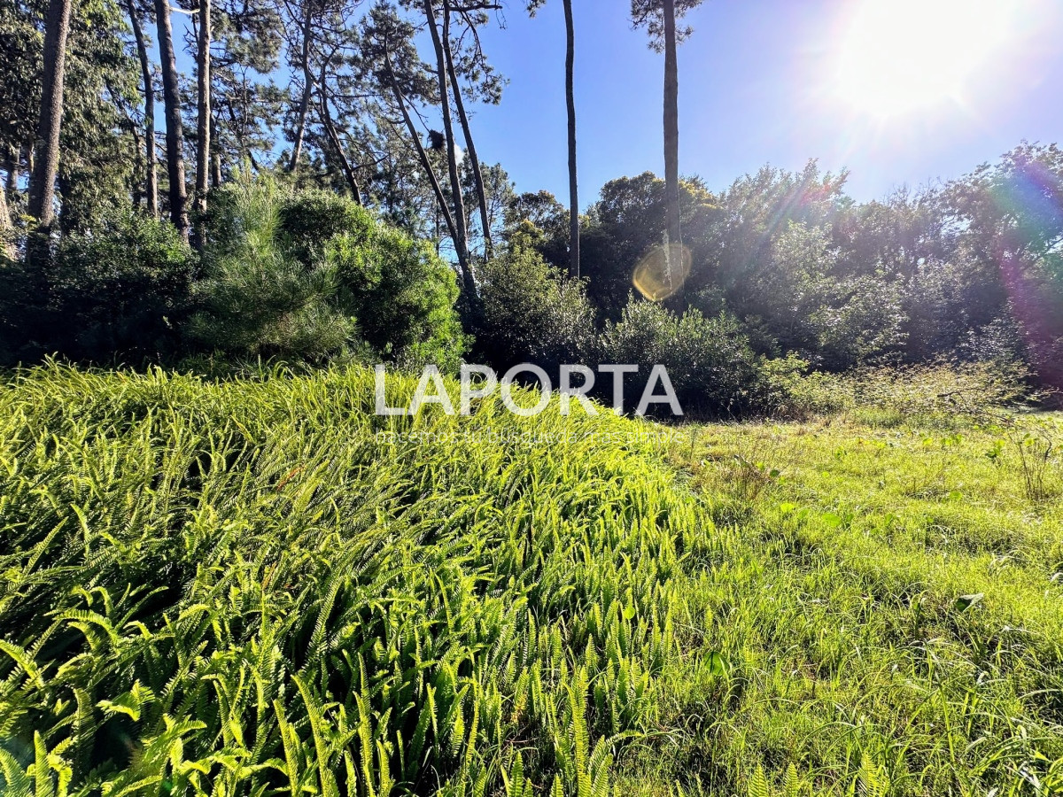 Terreno ID.58 - Terreno en Venta en Punta del Este Barrio San Rafael