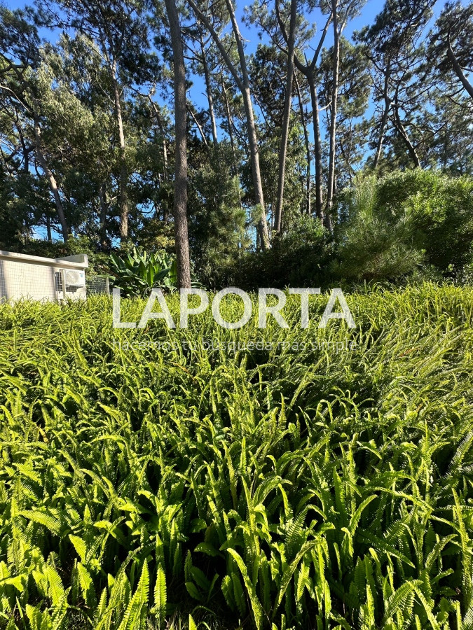 Terreno ID.58 - Terreno en Venta en Punta del Este Barrio San Rafael