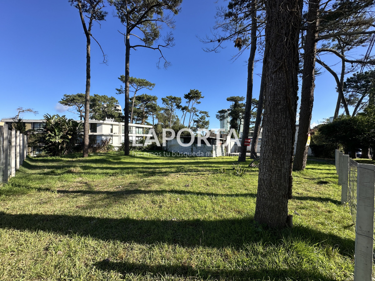 Terreno ID.952/Terreno-en-Venta-en-Punta-del-Este-zona-La-Mansa-parada-18 - Terreno en Venta en Punta del Este zona La Mansa parada 18