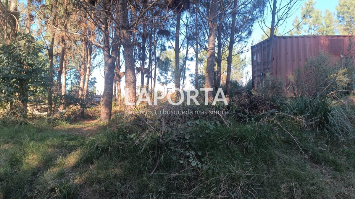 Terreno ID.970/Terreno-en-Venta-en-Punta-del-Este-1222-metros-en-Barra-Verde-zona-1.6-ideal-inversionistas-- - Terreno en Venta en Punta del Este 1222 metros en Barra Verde -zona 1.6 ideal inversionistas   