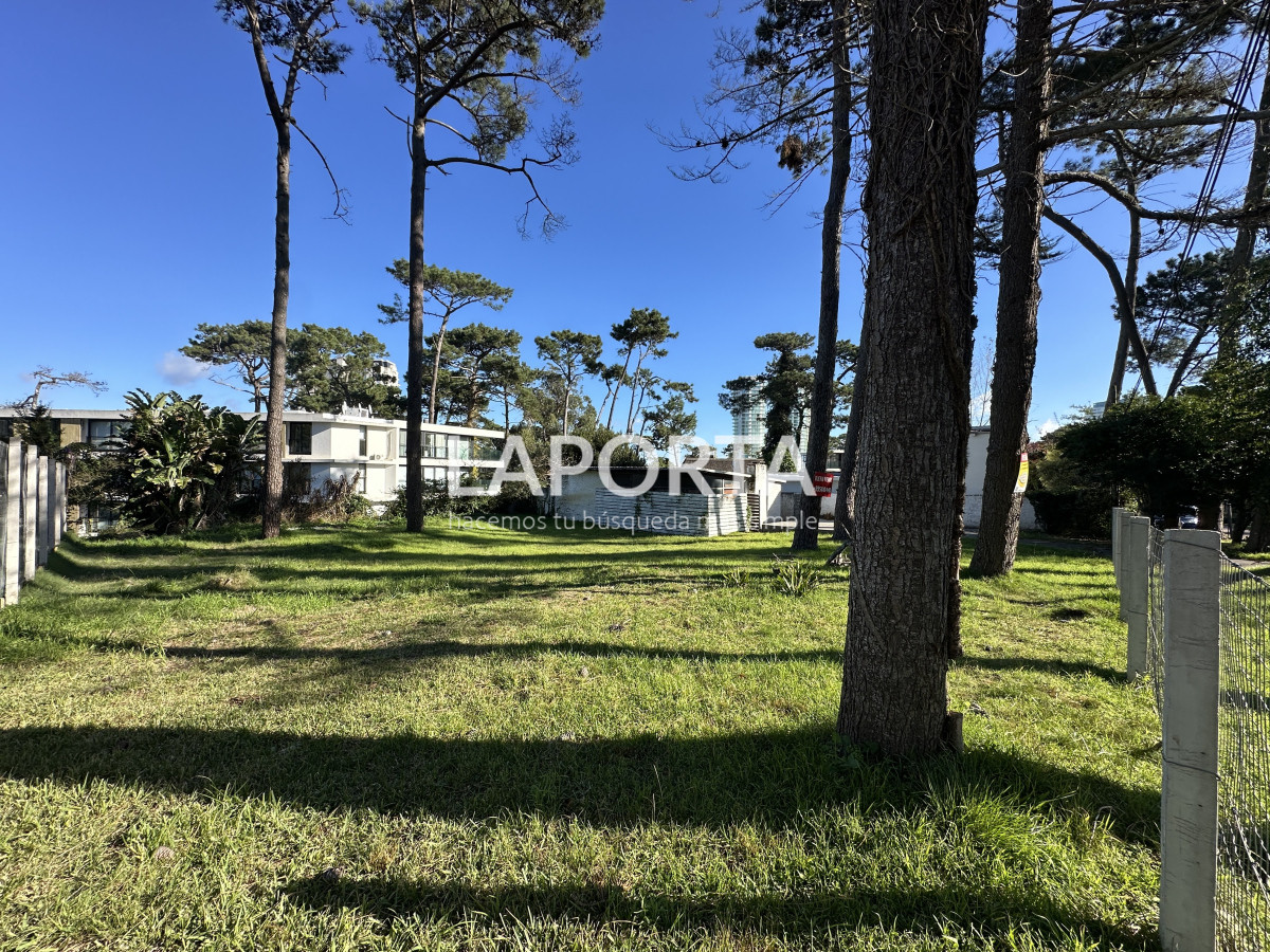 Terreno ID.952/Terreno-en-Venta-en-Punta-del-Este-zona-La-Mansa-parada-18 - Terreno en Venta en Punta del Este zona La Mansa parada 18