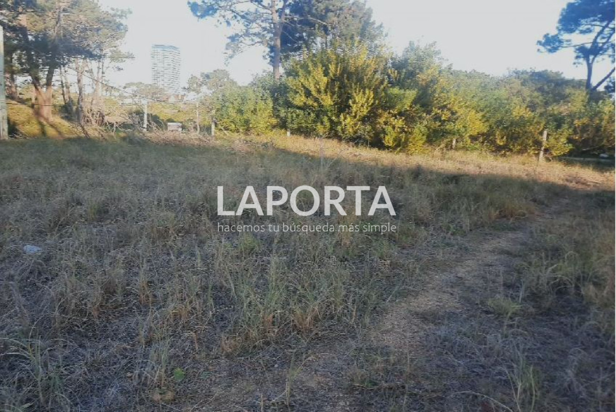 Terreno ID.54 - Terreno en Punta del Este, El Placer