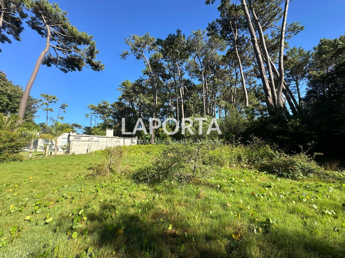 Terreno ID.58 - Terreno en Venta en Punta del Este Barrio San Rafael