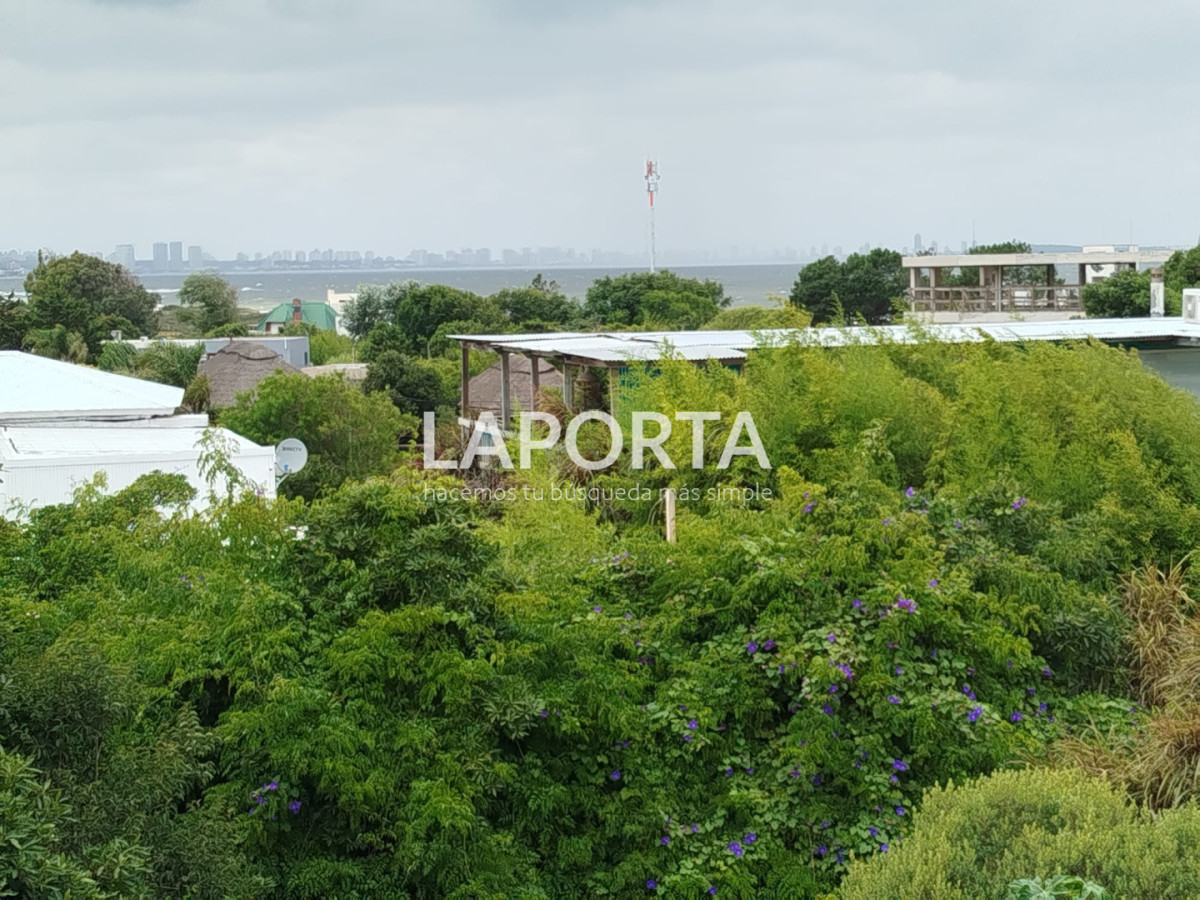 Terreno ID.2015/Terreno-en-Venta-en-Punta-Ballena-a-400-Metros-del-Mar--1.100-m² - Terreno en Venta en Punta Ballena a 400 Metros del Mar - 1.100 m²