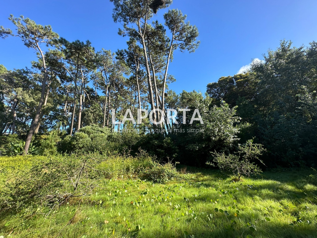 Terreno ID.58 - Terreno en Venta en Punta del Este Barrio San Rafael