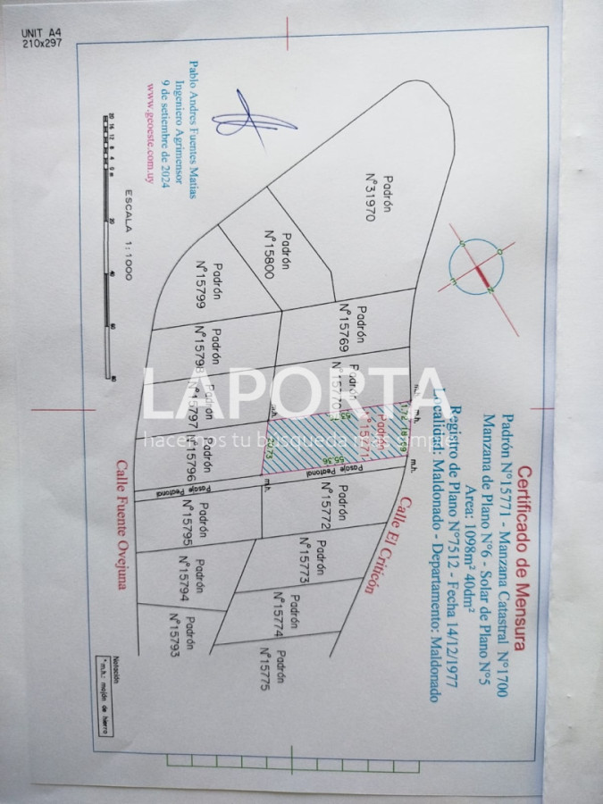 Terreno ID.2015/Terreno-en-Venta-en-Punta-Ballena-a-400-Metros-del-Mar--1.100-m² - Terreno en Venta en Punta Ballena a 400 Metros del Mar - 1.100 m²